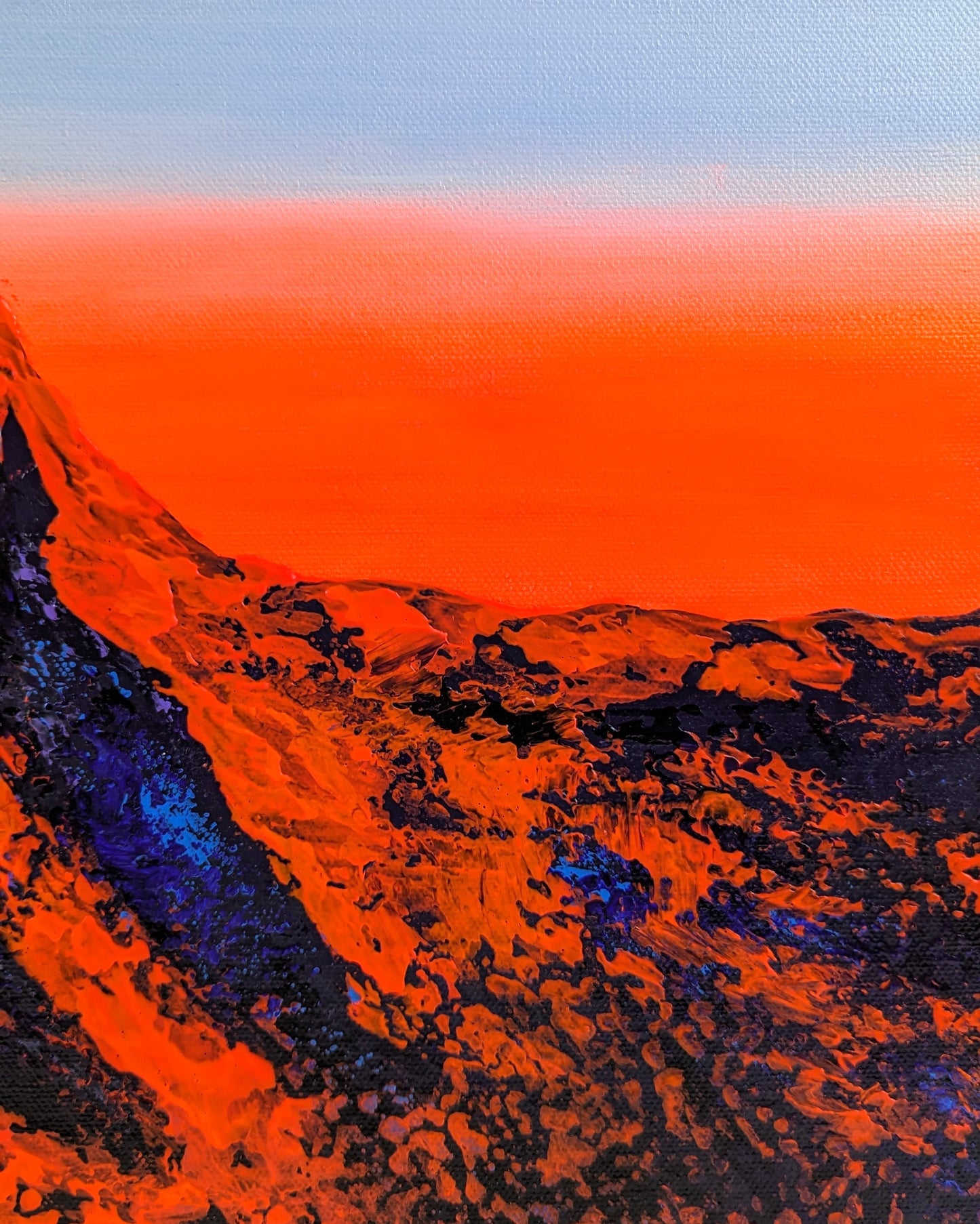 Morning Glory